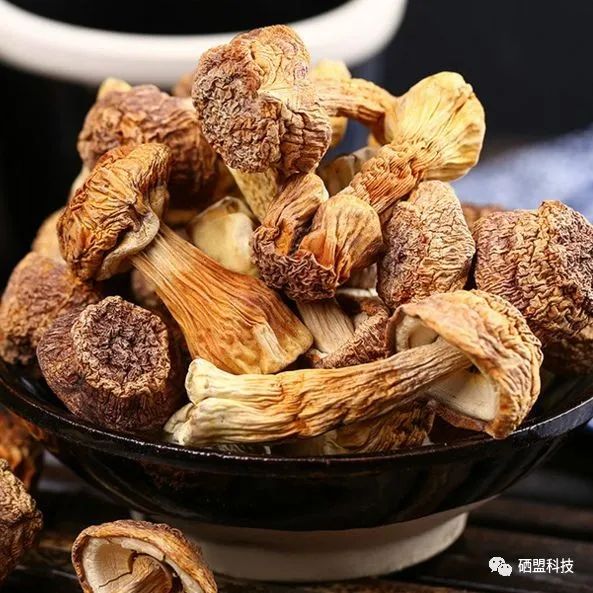 胰腺肿瘤患者吃什么补硒（肿瘤补患者吃胰腺硒片有用吗）-硒宝网