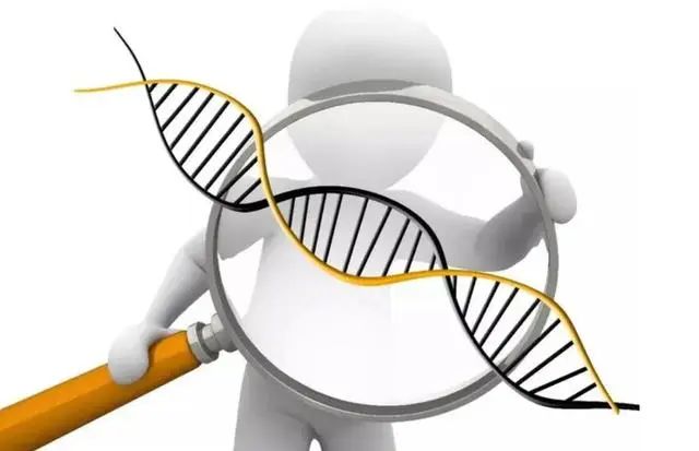 长时间补硒为啥出现转移(科学补硒健康生活在恩施)-硒宝网