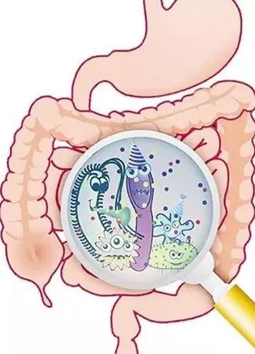 补硒和益生菌的功效区别（益生菌硒多少钱一盒）-硒宝网