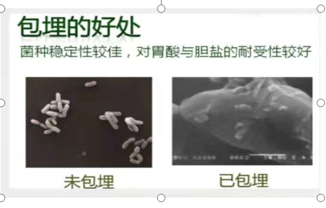 补硒和益生菌的功效区别（益生菌硒多少钱一盒）-硒宝网