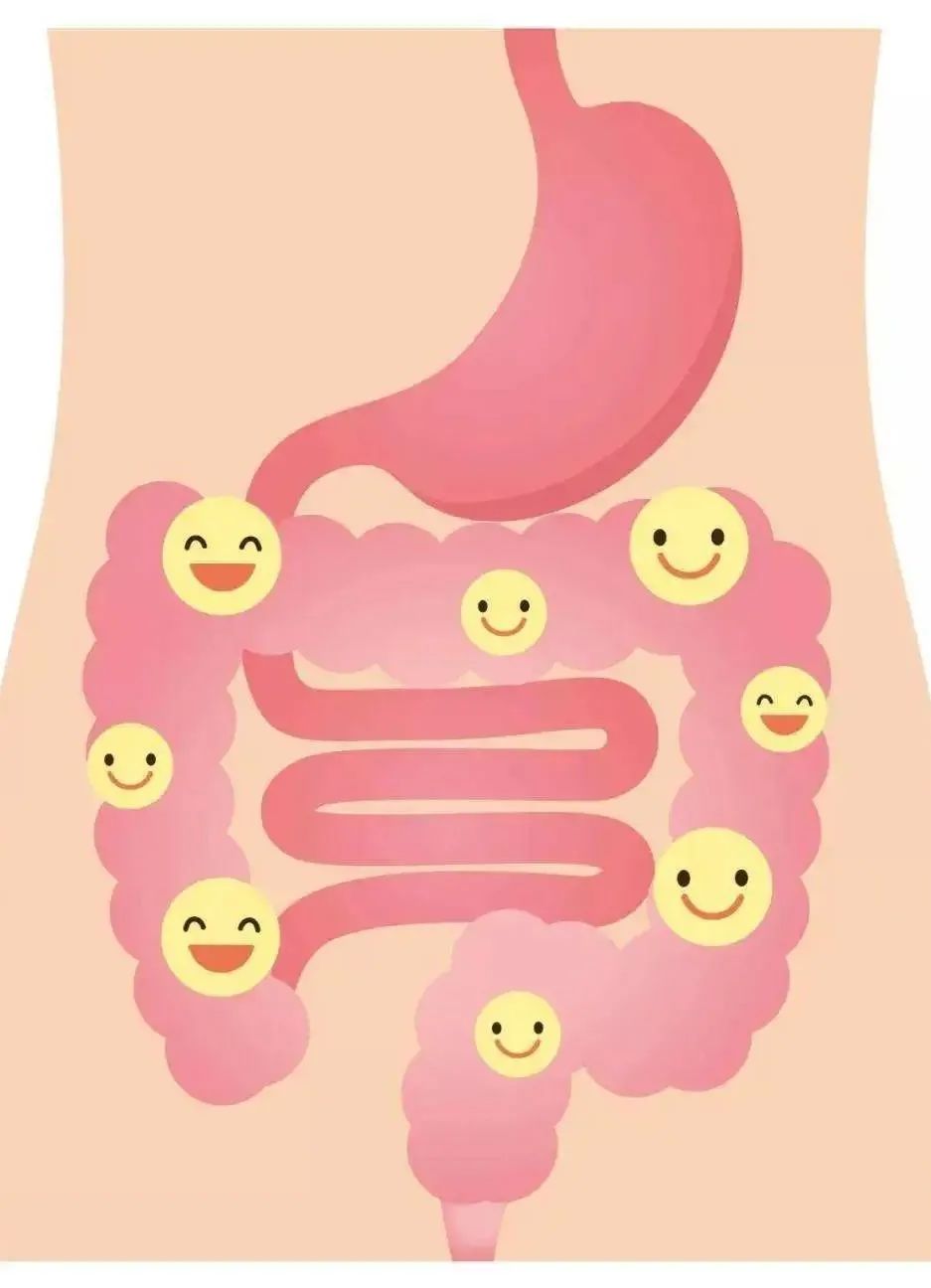 补硒和益生菌的功效区别（益生菌硒多少钱一盒）-硒宝网