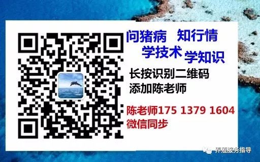 仔猪必须补硒吗该补多少(仔猪有没有必要补硒百度文库)-硒宝网
