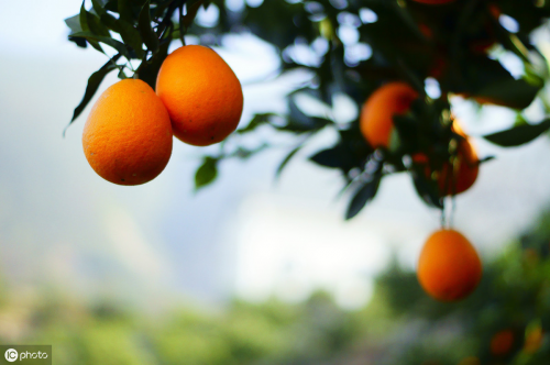 肺癌早期病人补硒有效吗(肺癌补硒有用吗)-硒宝网