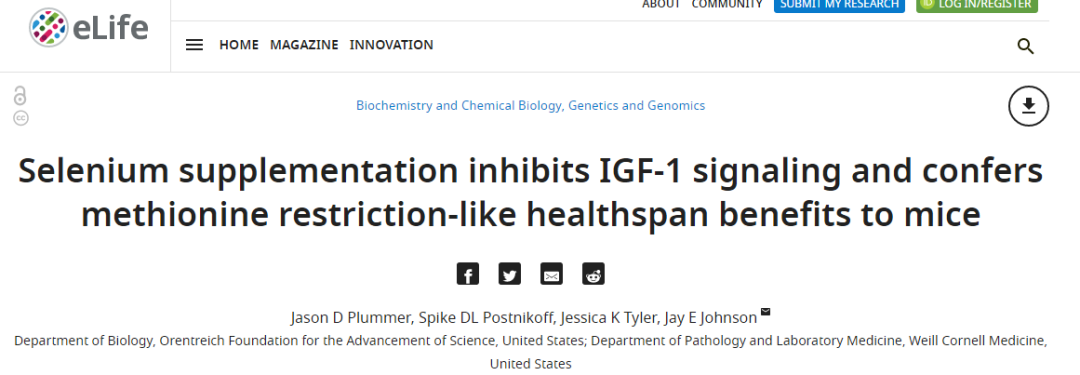 都什么食物可以补硒元素(补充硒元素有什么禁忌)-硒宝网