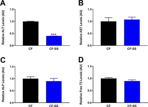 都什么食物可以补硒元素(补充硒元素有什么禁忌)-硒宝网