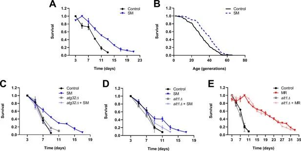都什么食物可以补硒元素(补充硒元素有什么禁忌)-硒宝网