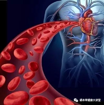 每日坚持补硒食物有哪些(日常补硒)-硒宝网