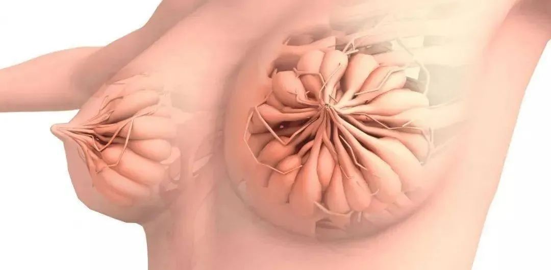 什么食物能够补硒呢女性(女人补硒对妇科)-硒宝网