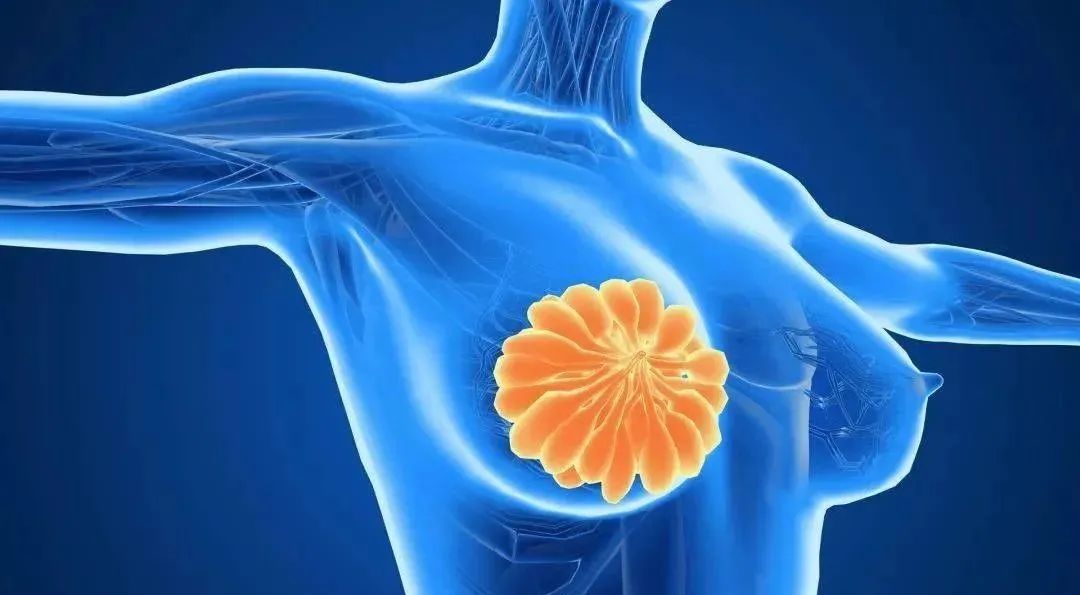 什么食物能够补硒呢女性(女人补硒对妇科)-硒宝网