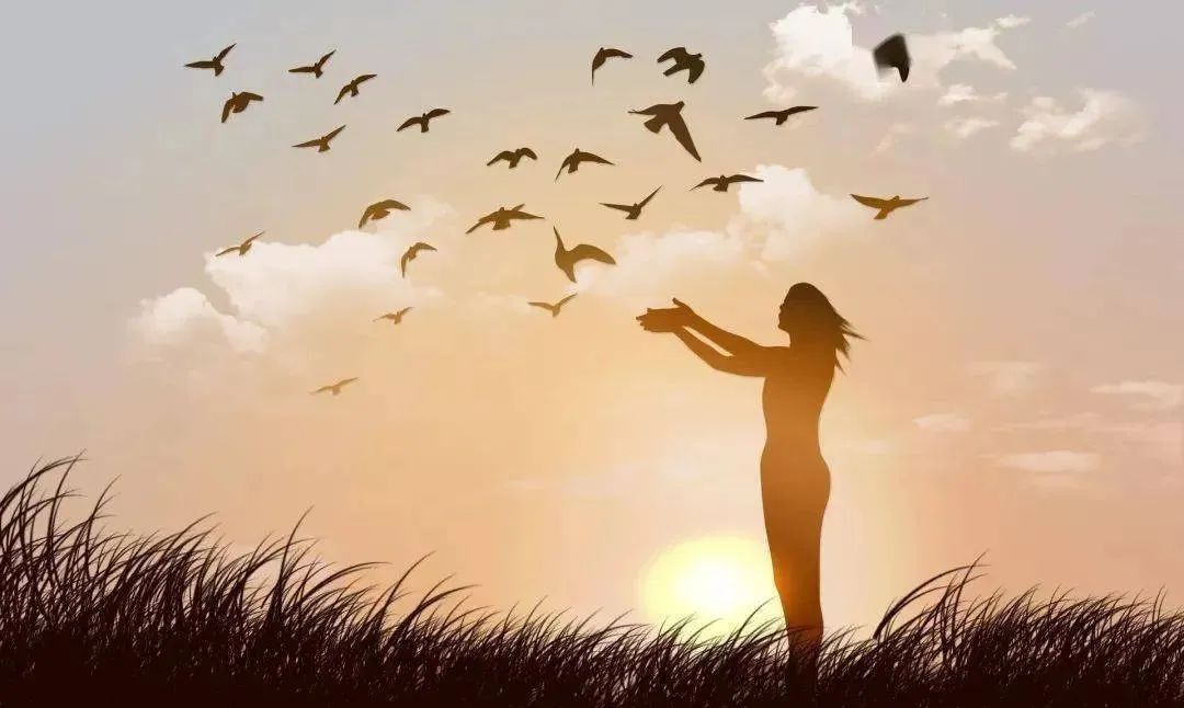 什么食物能够补硒呢女性(女人补硒对妇科)-硒宝网