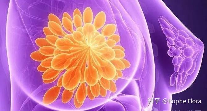 乳腺囊肿患者可以补硒吗（乳腺囊肿可以吃vc吗）-硒宝网