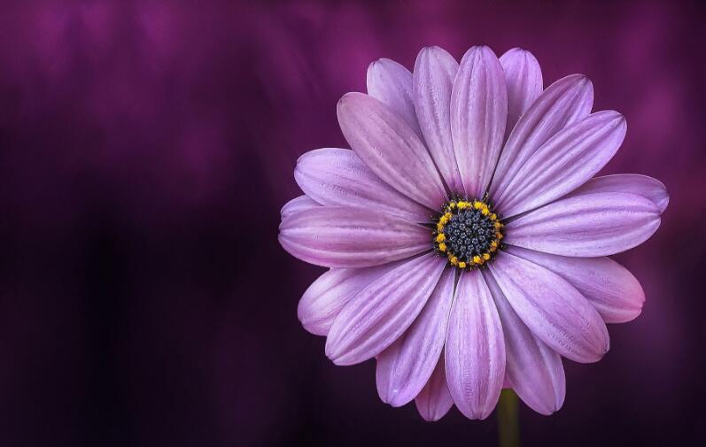 乳腺囊肿患者可以补硒吗（乳腺囊肿可以吃vc吗）-硒宝网