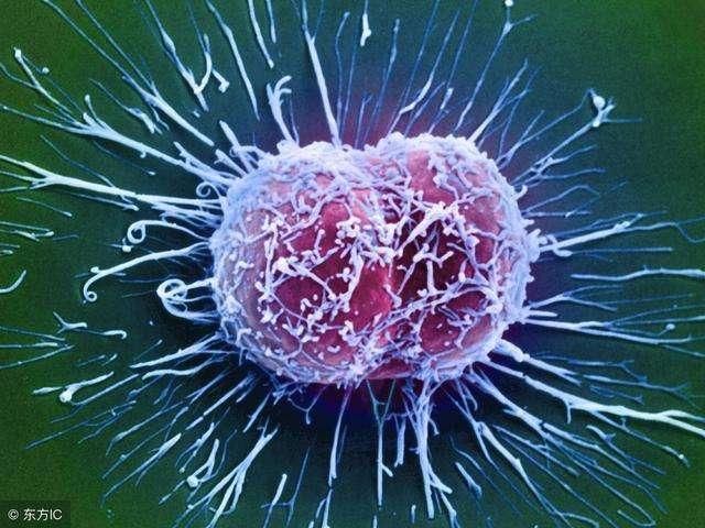 乳腺囊肿患者可以补硒吗（乳腺囊肿可以吃vc吗）-硒宝网