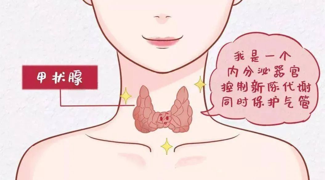 桥本氏甲状腺炎补硒剂量(桥本甲状腺炎硒)-硒宝网