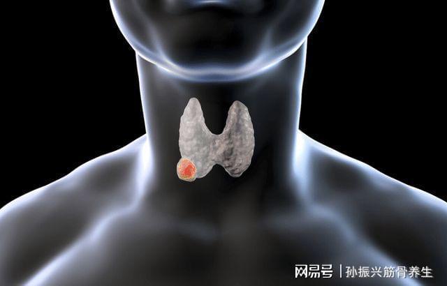 长期有甲减的人怎么补硒(补长期硒人甲减有副作用吗)-硒宝网