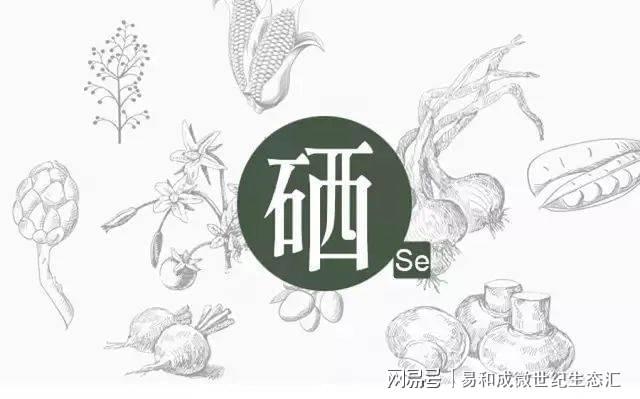 硒是什么食品补的最好的（食补补硒）-硒宝网