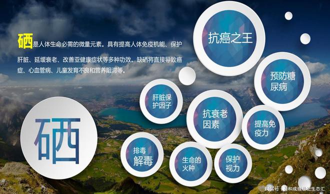 硒是什么食品补的最好的（食补补硒）-硒宝网