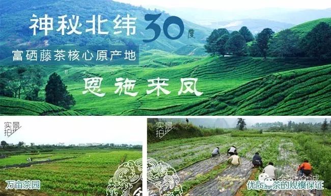 长期补硒过敏吗会怎样样（补硒会过敏吗）-硒宝网