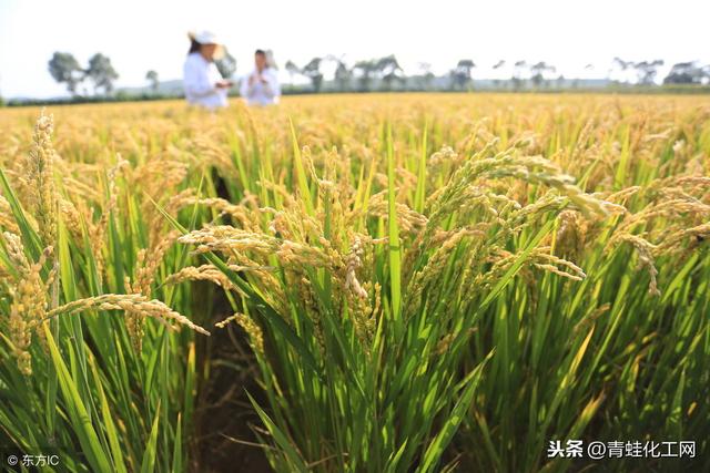 科学补硒健康生活新希望(全民科学补硒健康亿万家庭)-硒宝网