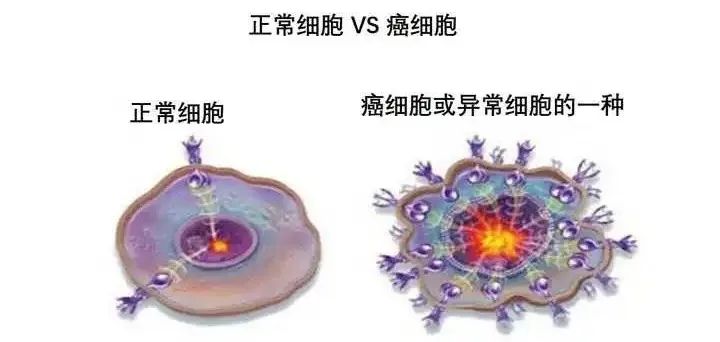 癌症术后患者补硒吃什么(癌症病人吃硒元素可以多吃吗)-硒宝网