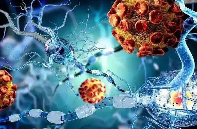 癌症术后患者补硒吃什么(癌症病人吃硒元素可以多吃吗)-硒宝网