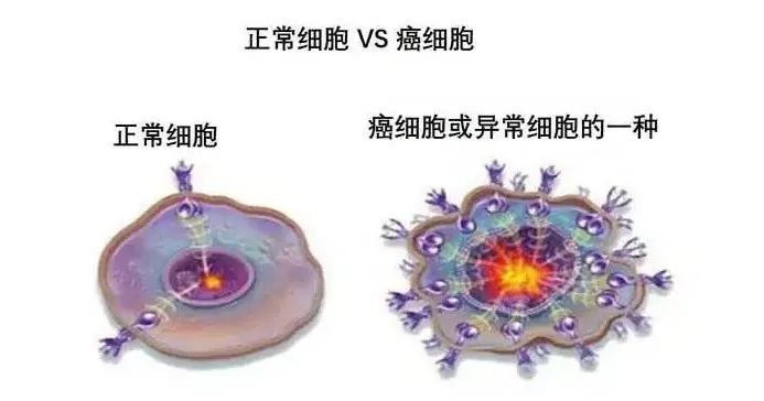 癌症术后患者补硒吃什么（癌症术后补硒有用吗）-硒宝网