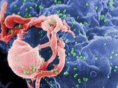 不用检查直接补硒可以吗(检查硒元素需要抽血吗)-硒宝网