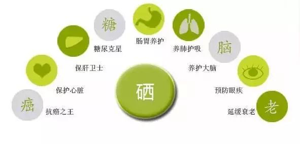 全民科学补硒的意义是指(全民科学补硒有奖问答活动答案)-硒宝网