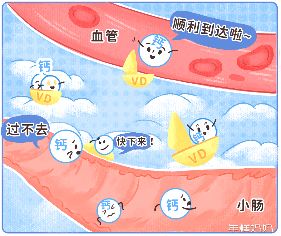 大人补钙吃什么钙片好（大人吃钙片好吗）-硒宝网