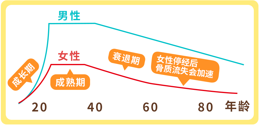 大人补钙吃什么钙片好（大人吃钙片好吗）-硒宝网