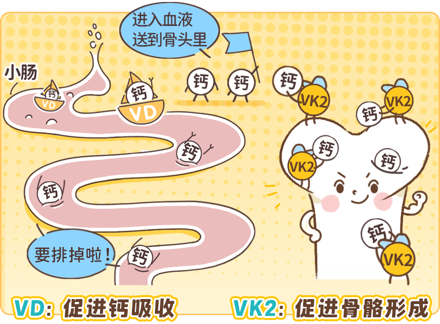 大人补钙吃什么钙片好（大人吃钙片好吗）-硒宝网