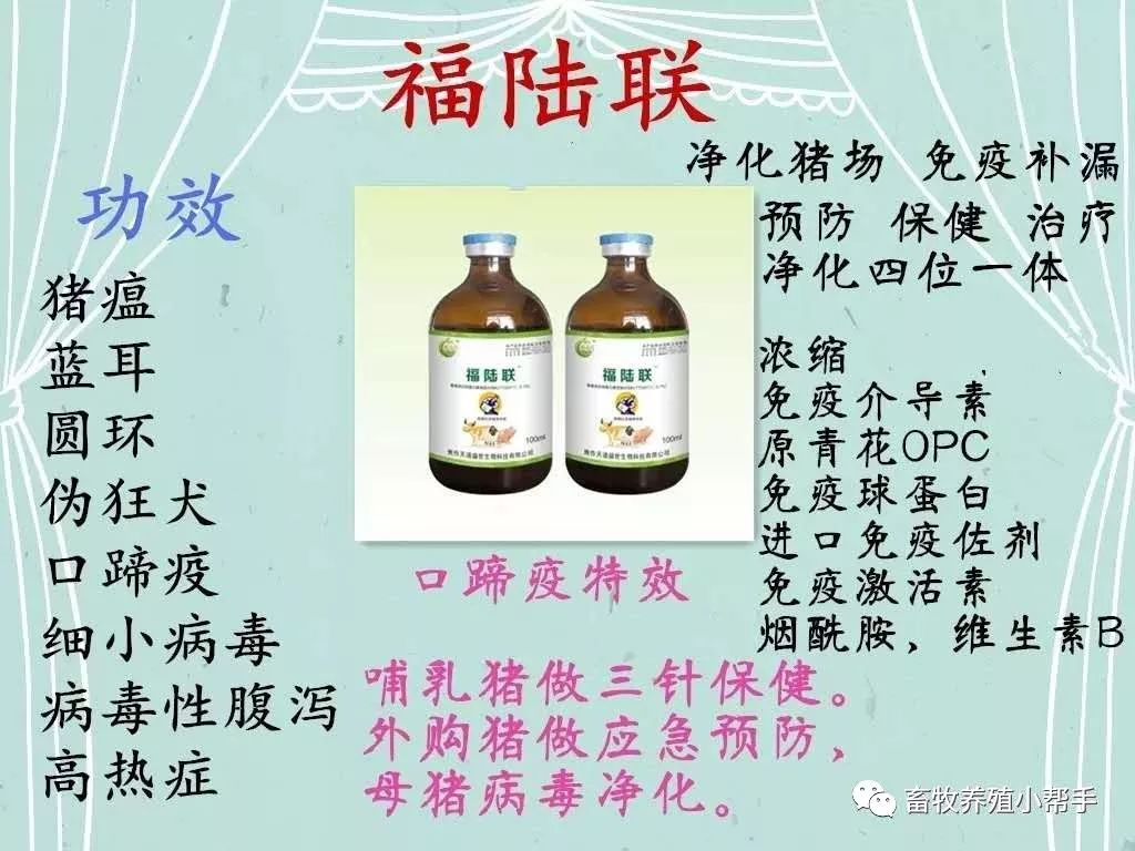 仔猪出生15天还补硒吗(仔猪补硒用什么药)-硒宝网