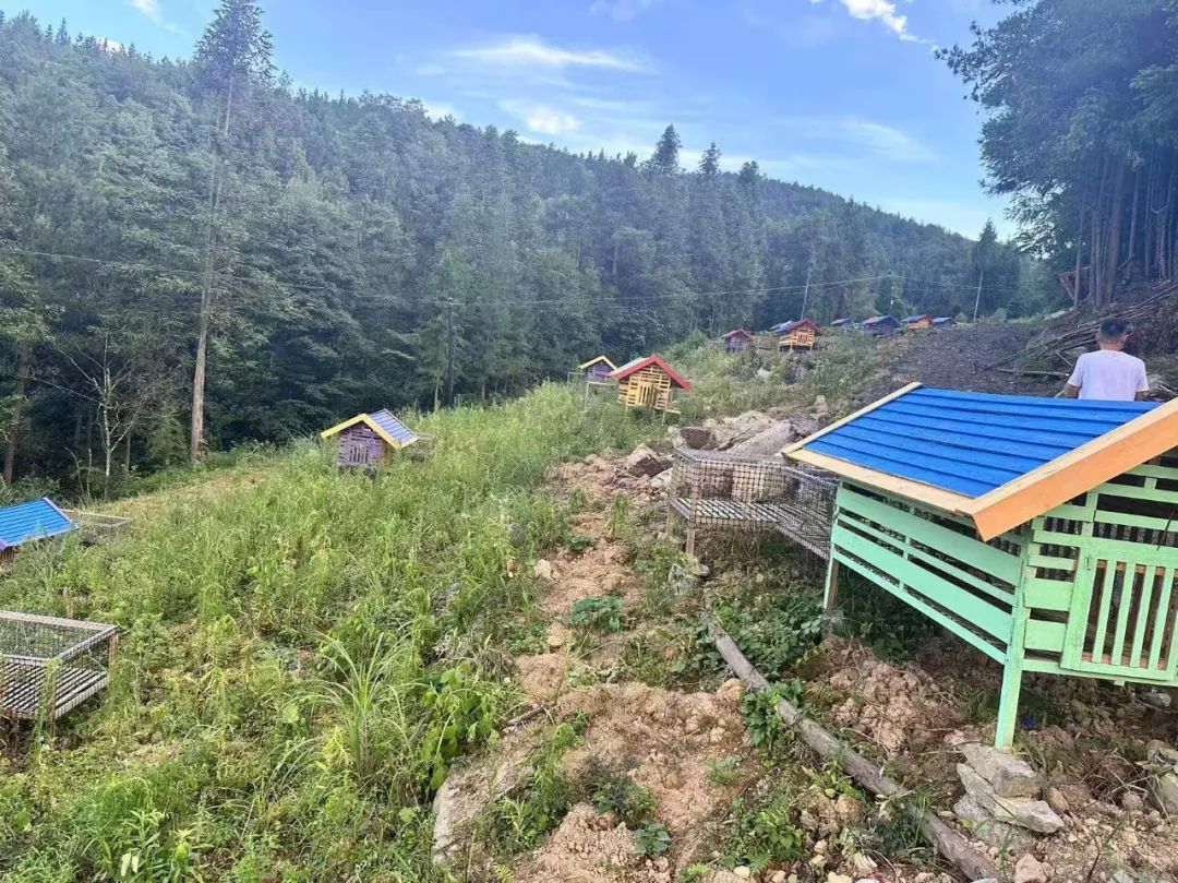 补硒对肝硬化有什么好处（肝硬化好处补硒有哪些）-硒宝网