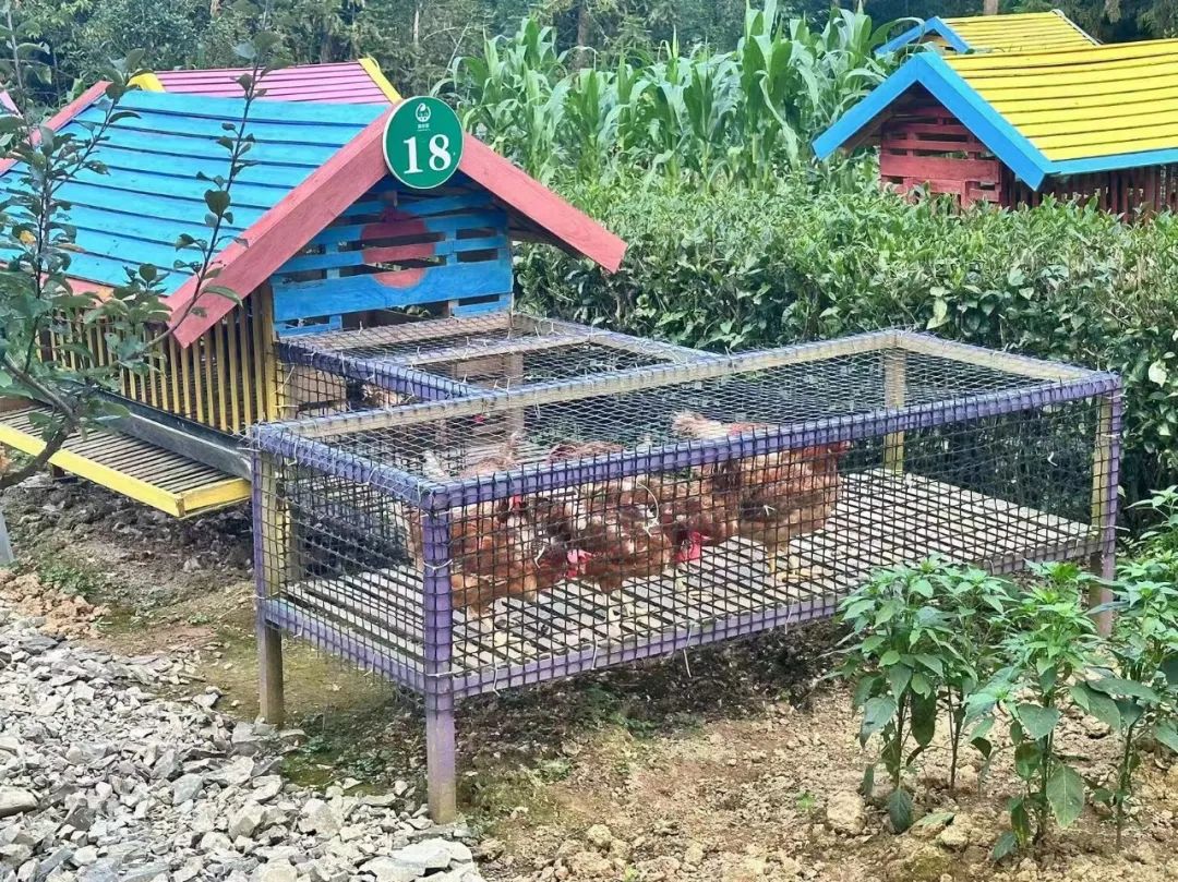 补硒对肝硬化有什么好处（肝硬化好处补硒有哪些）-硒宝网