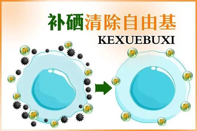 补硒后精神好了能恢复吗（补硒后可以观察的效果）-硒宝网