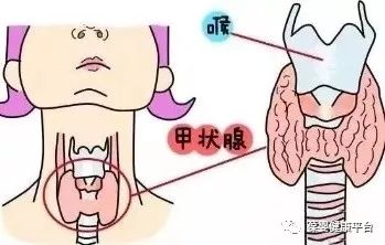 甲亢补硒好吗吃什么盐好（甲亢吃补硒起什么作用）-硒宝网