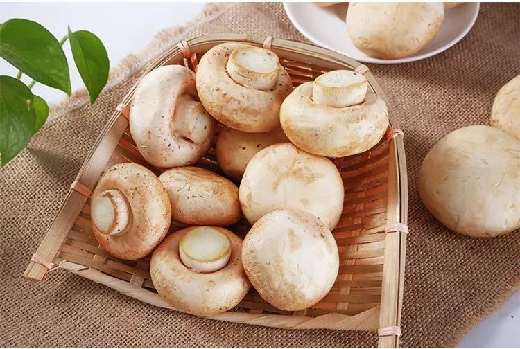 哪些食物补硒和锌最好呢(补充锌和硒的食物)-硒宝网