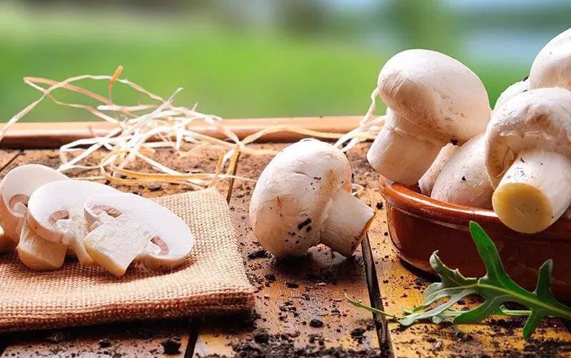 哪些食物补硒和锌最好呢(补充锌和硒的食物)-硒宝网