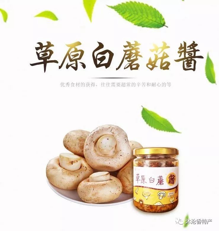 哪些食物补硒和锌最好呢(补充锌和硒的食物)-硒宝网