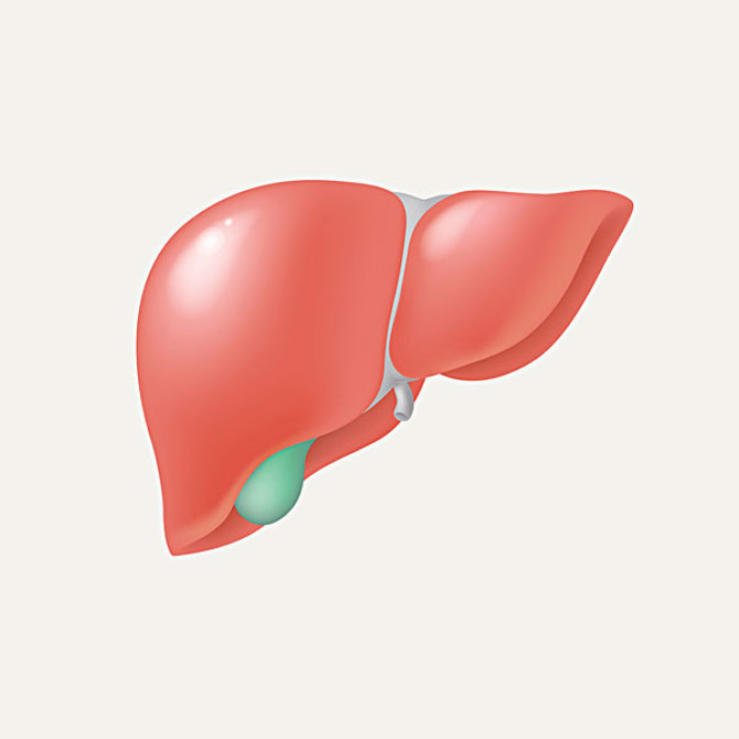 补硒能降甲胎蛋白吗女性(降甲胎蛋白的中草药)-硒宝网