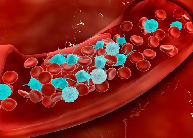 中老年怎么补硒好吸收快(补硒可以提高老年人的健康水平)-硒宝网