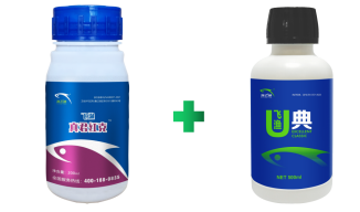 补硒后的调理反应长水泡(补硒后的调理反应长水泡)-硒宝网