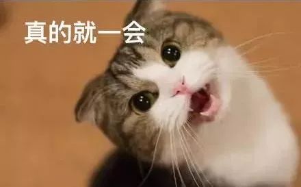 人补硒标准多少克为标准(补硒400微克)-硒宝网