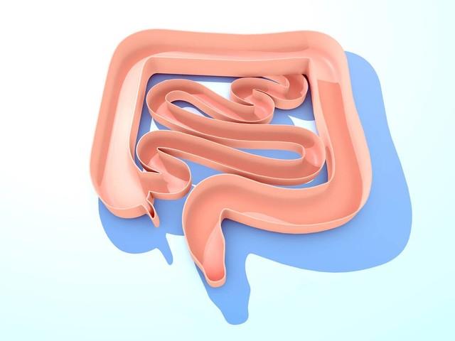 补硒能治疗大便不蠕动吗（大便蠕动能补治疗硒元素吗）-硒宝网