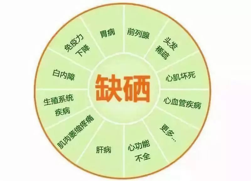 儿童脱发补硒推荐维生素（儿童脱发吃什么维生素）-硒宝网