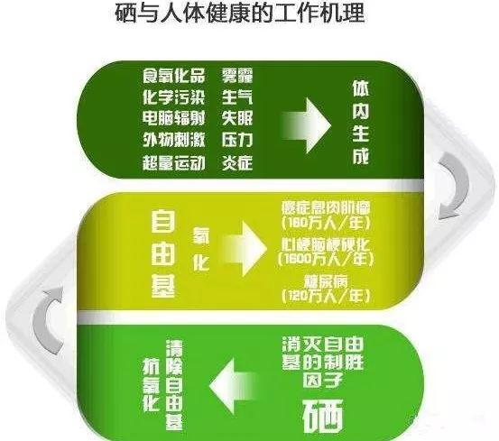 儿童脱发补硒推荐维生素（儿童脱发吃什么维生素）-硒宝网