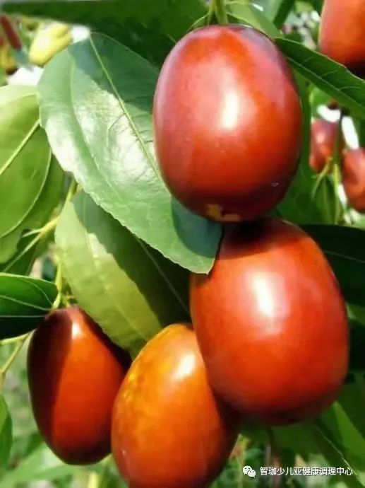 人体缺锌如何补硒的食物(人体缺锌硒有什么症状)-硒宝网