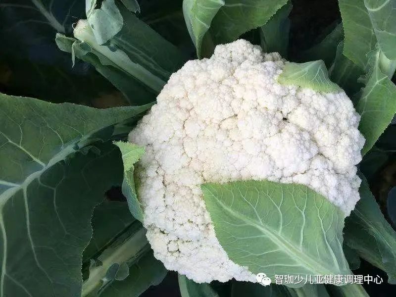 人体缺锌如何补硒的食物(人体缺锌硒有什么症状)-硒宝网