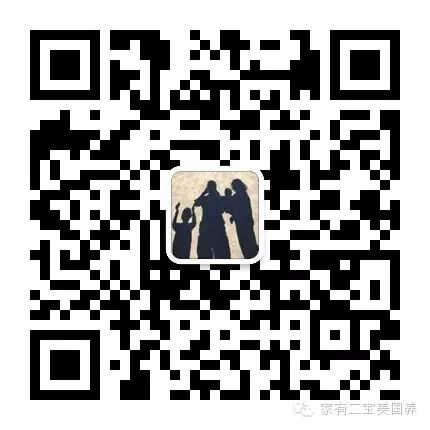 补铁的药哪个牌子最好(牌子药好补铁的有哪些)-硒宝网