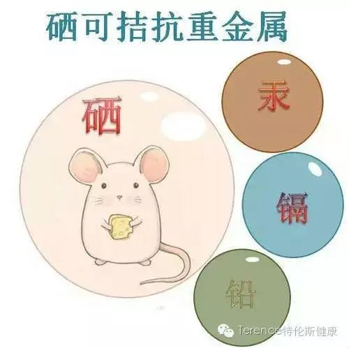 中年人每天补硒多少毫克（补硒对中老年人的好处）-硒宝网